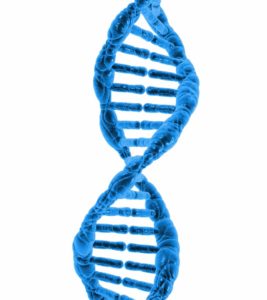 dna-1370603787LgY